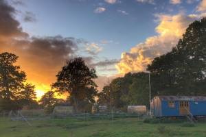 Zirkuswagen Sonnenuntergang