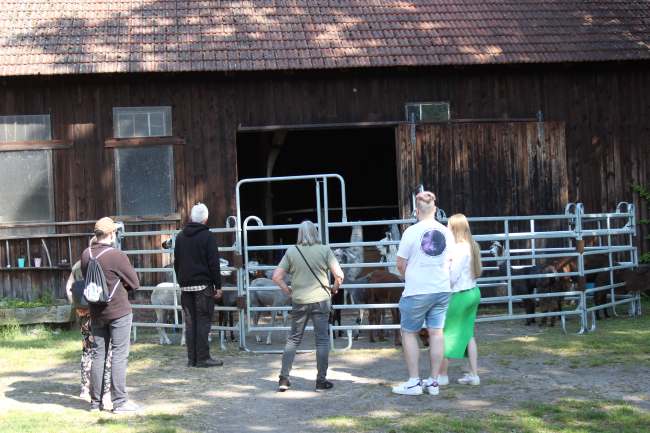 Besuchergruppe Hofführung