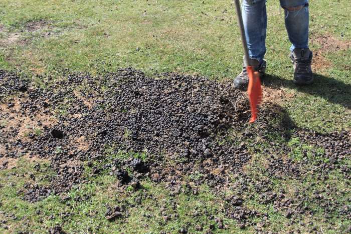 Köttel zusammenrechen